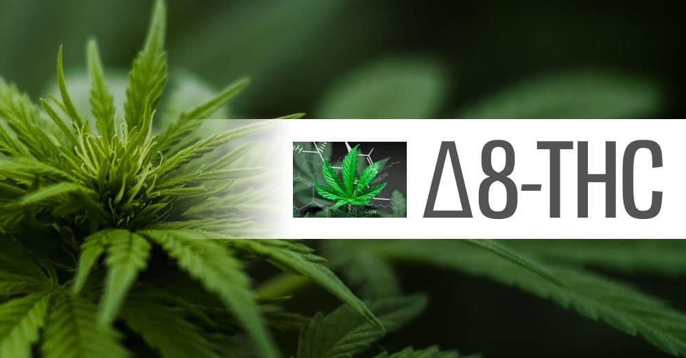 𝚫8 THC – What is it and is it Legal?